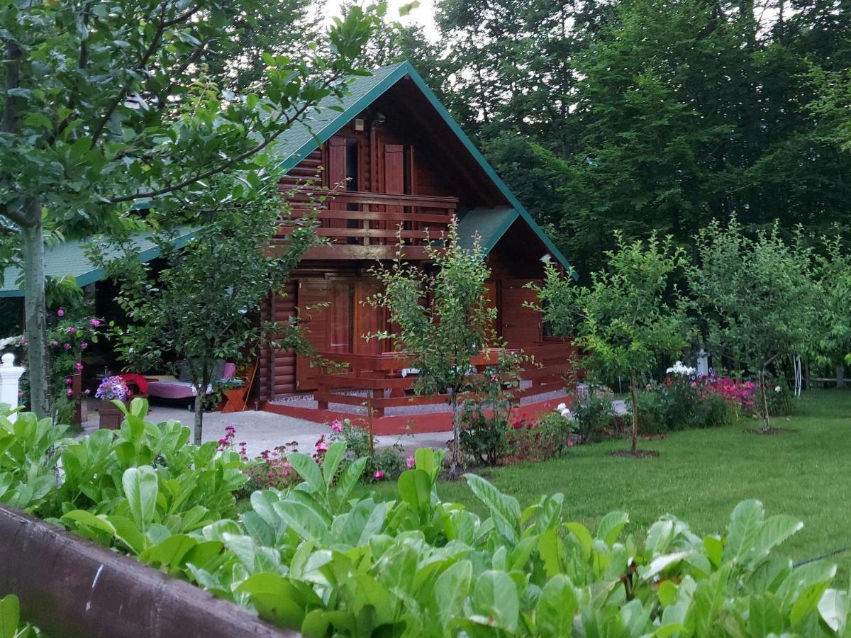 Willa Vikendica Crkvina Kolašin Zewnętrze zdjęcie