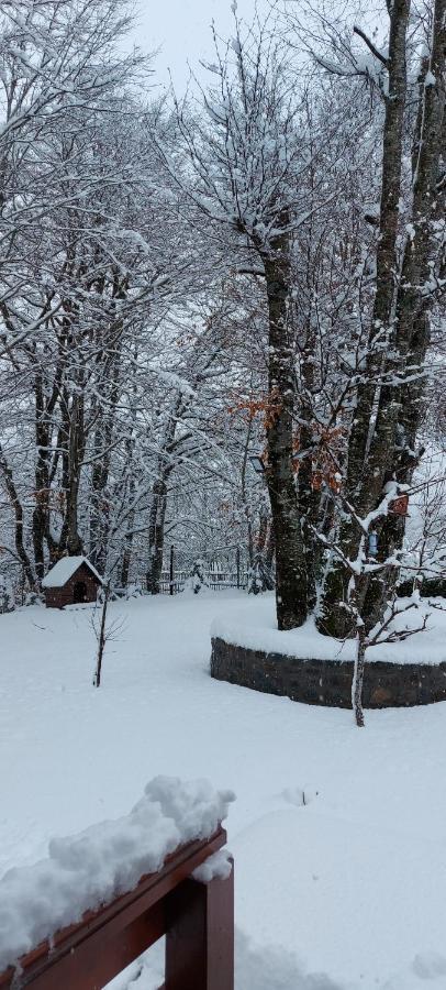 Willa Vikendica Crkvina Kolašin Zewnętrze zdjęcie