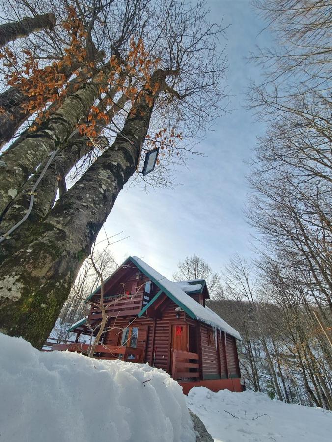 Willa Vikendica Crkvina Kolašin Zewnętrze zdjęcie